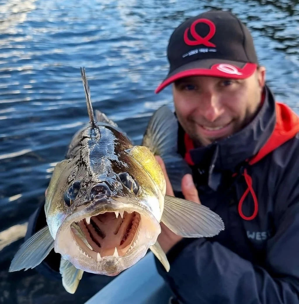 Crisafisih Guide de pêche et revendeur officiel Garmin Marine