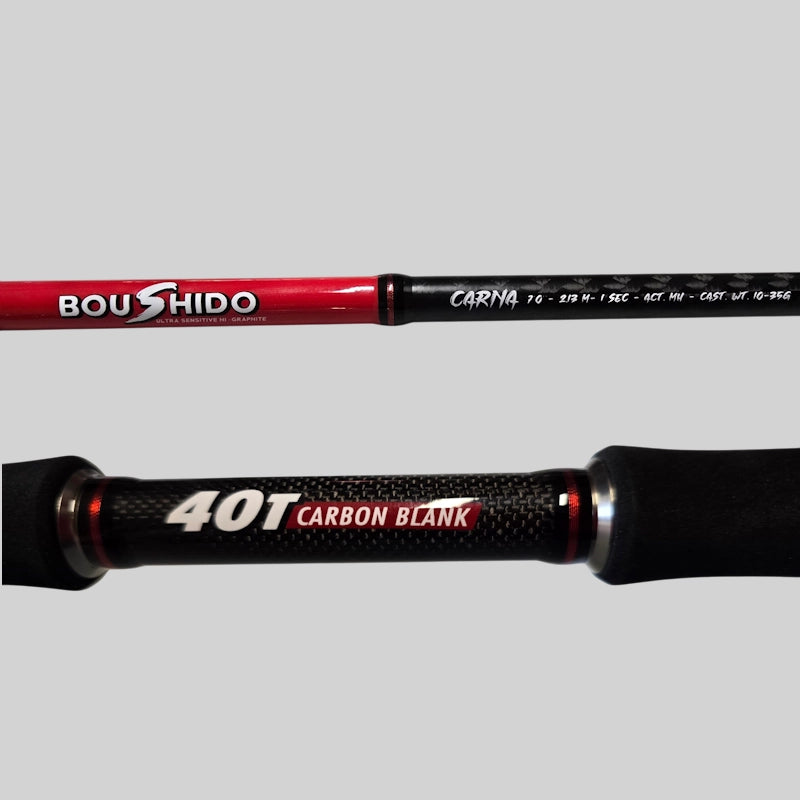 Canne casting Hart Boushido Carna C70MH