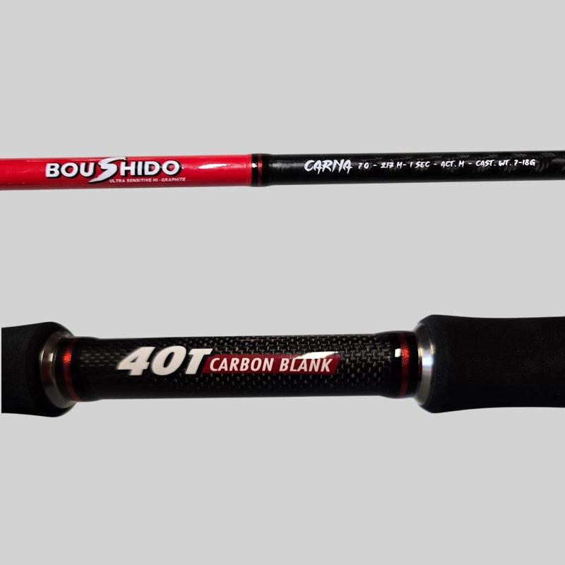 Canne casting Hart Boushido Carna C70M